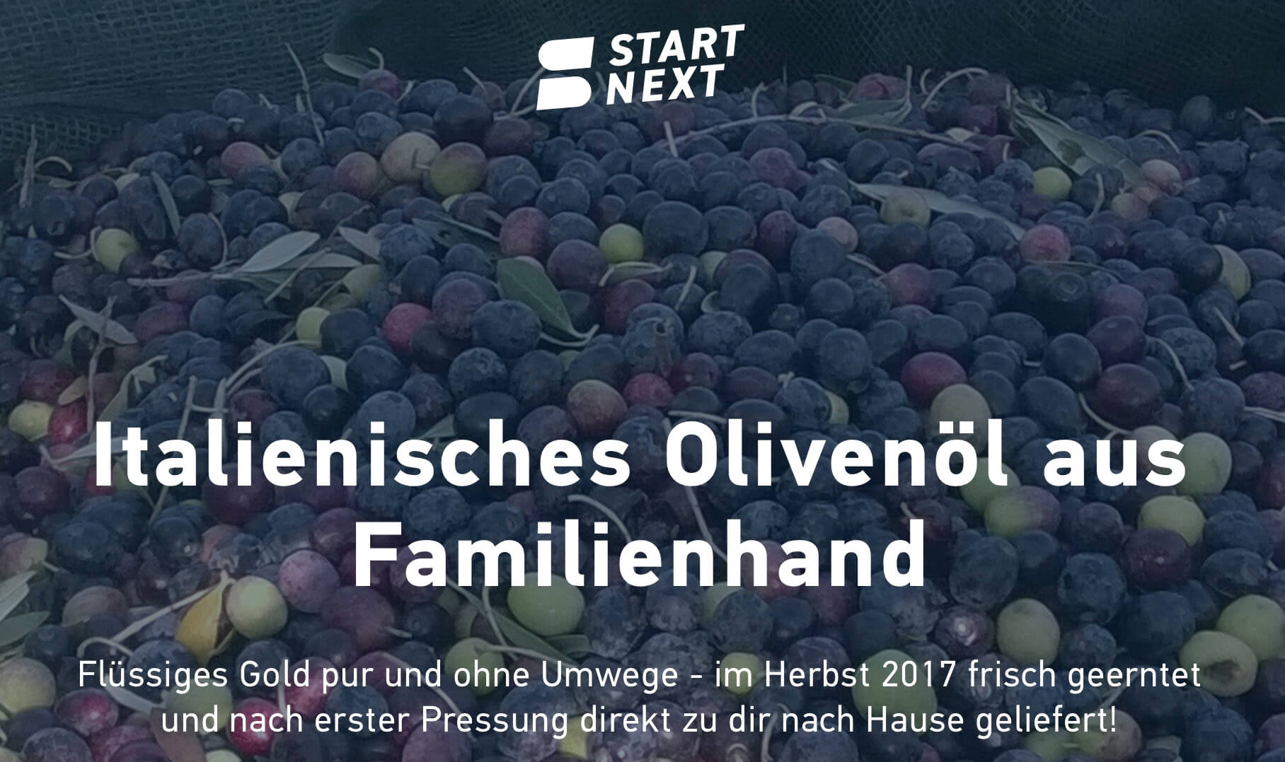 Home Bellolio Dein Olivenöl Direkt Vom Erzeuger